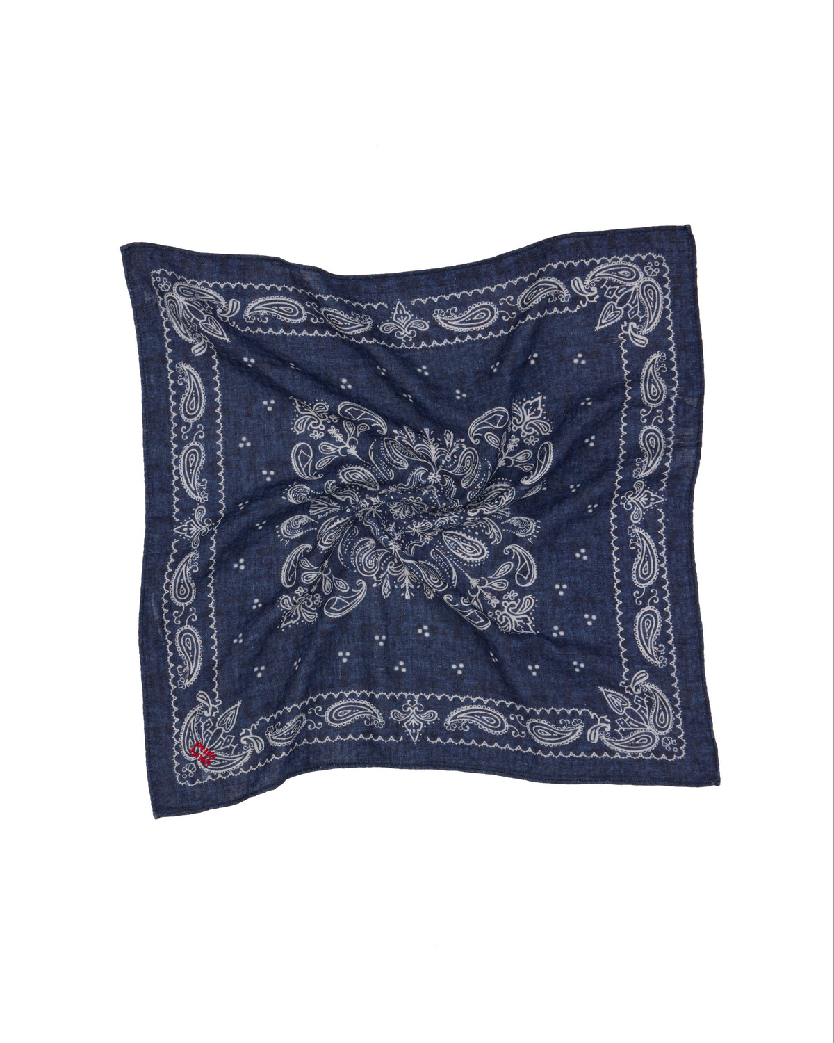 Palimpsest Paisley Scarf